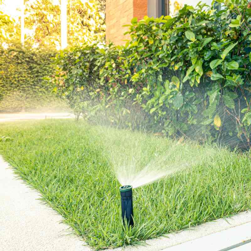 Arrosage automatisé dans un jardin de maison