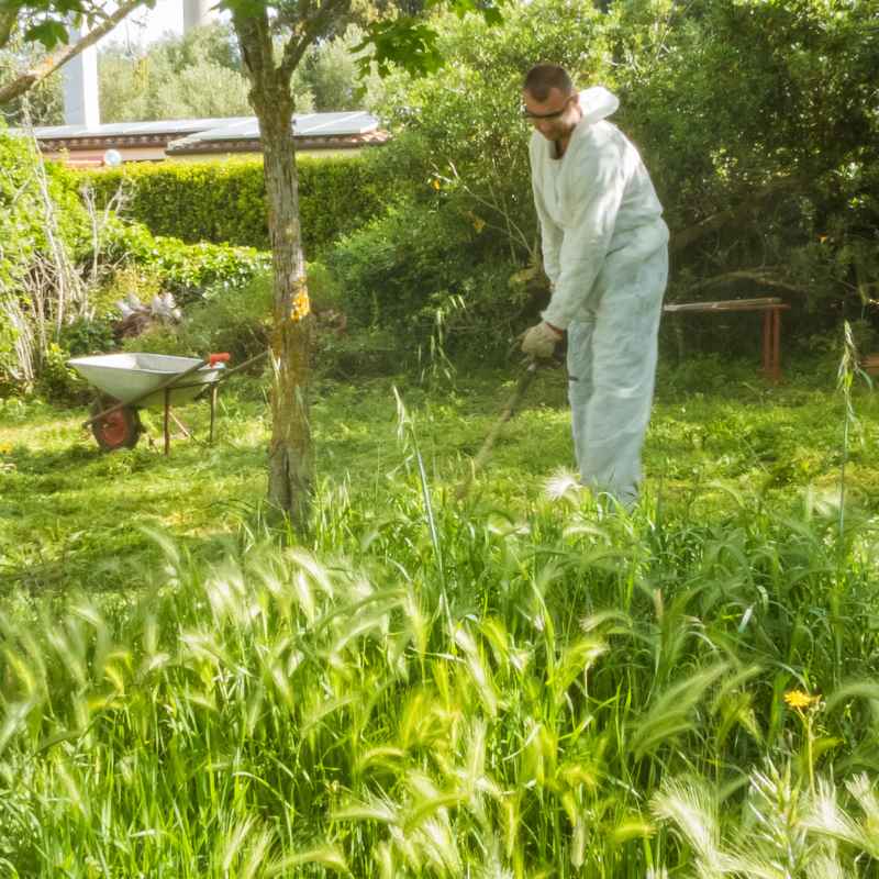 Débroussaillage d'un jardin dans l'Hérault