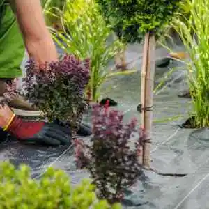 Entretien d'espaces verts à Montpellier