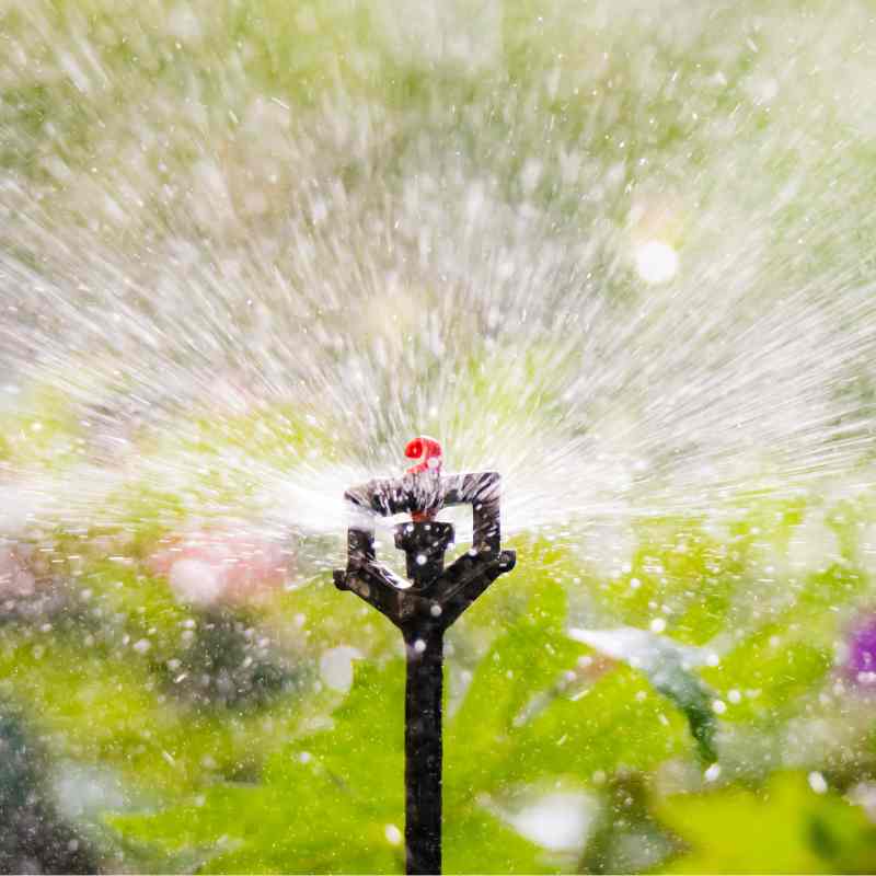 Système d'arrosage et d'irrigation en extérieur à Montpellier