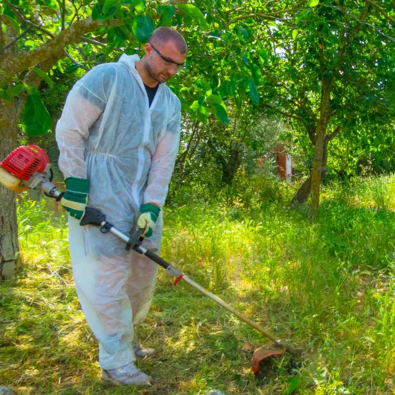 Travaux de debroussaillage à Frontignan